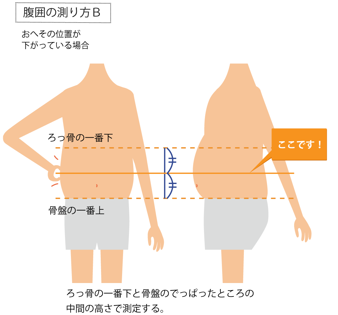 腹囲のはかり方B
